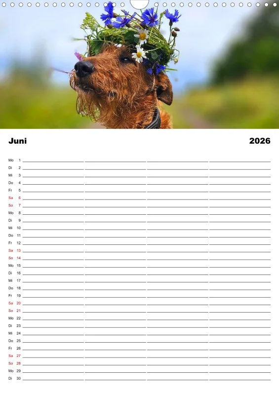 Hundekalender Familienplaner 2026