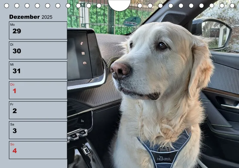 Hunde-Wochenkalender 2026 A5