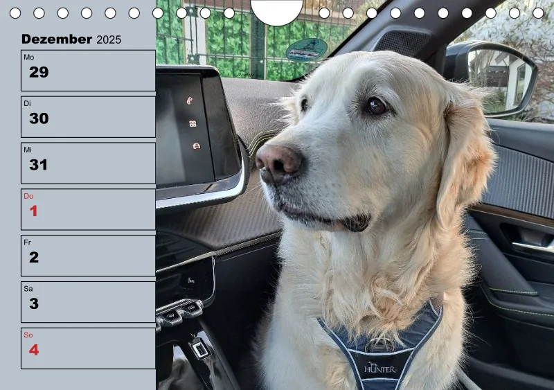 Hunde-Wochenkalender 2026 A5