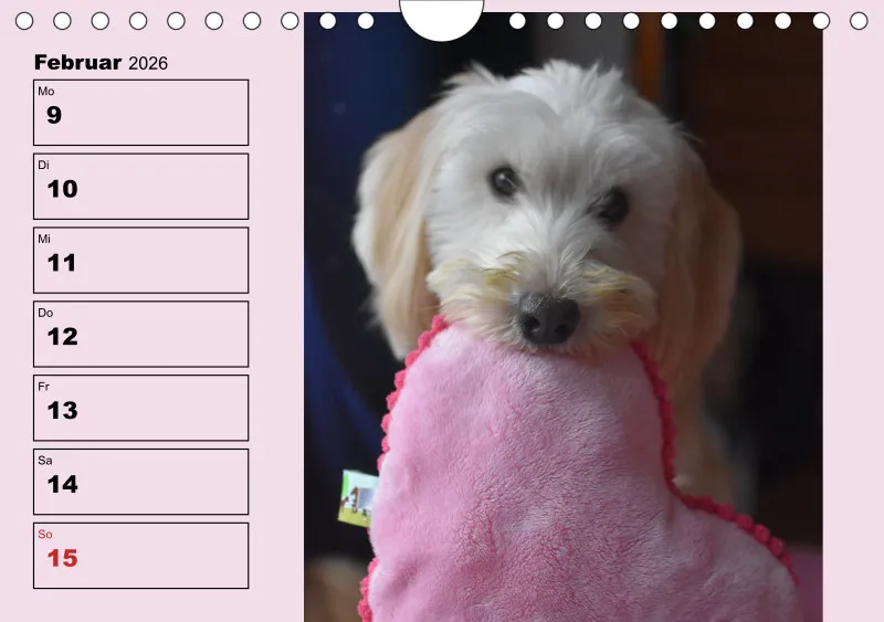 Hunde-Wochenkalender 2026 A5