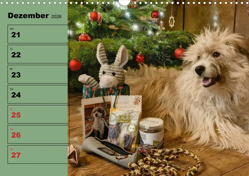 Hunde-Wochenkalender 2026 A3