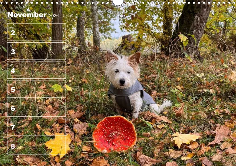 Hunde-Wochenkalender 2026 A3
