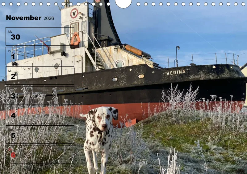 Hunde-Wochenkalender 2026 A4