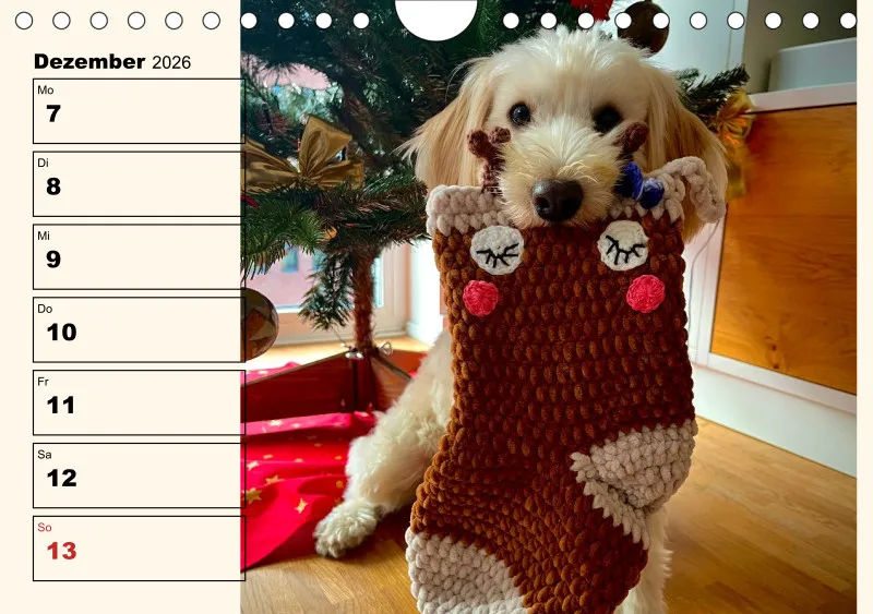 Hunde-Wochenkalender 2026 A5
