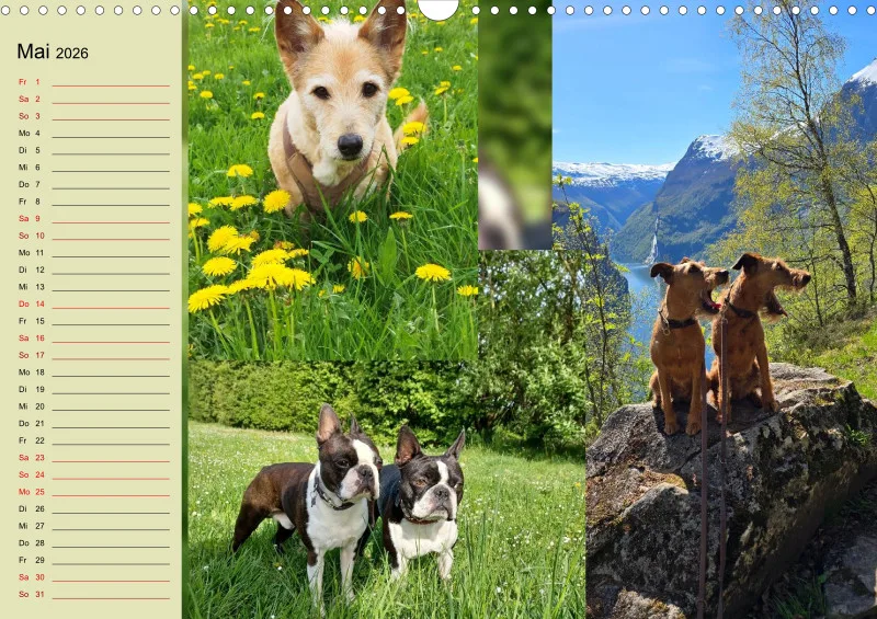 Hundekalender 2026 - DIN A3