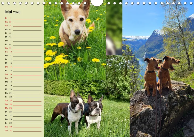 Hundekalender 2026 - DIN A4