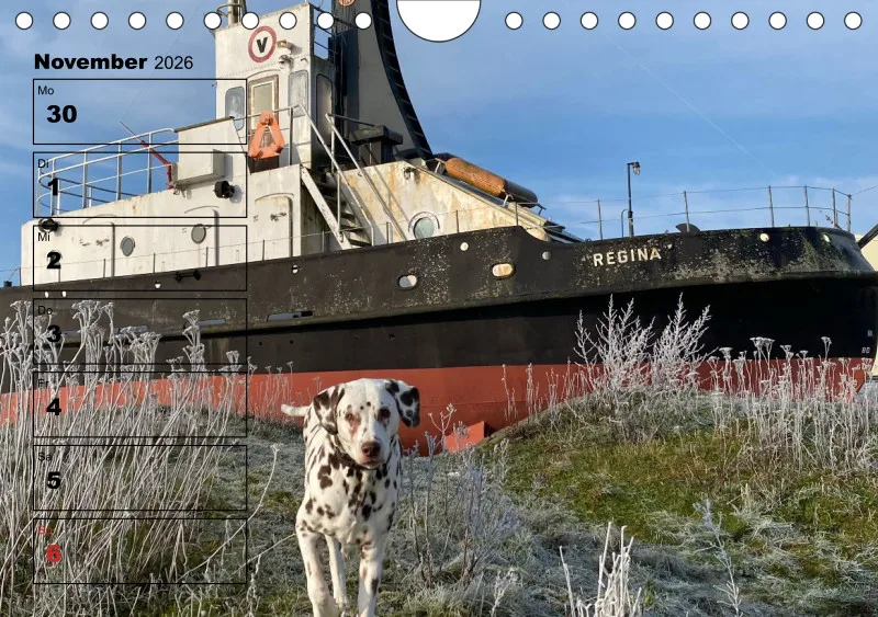 Hunde-Wochenkalender 2026 A5