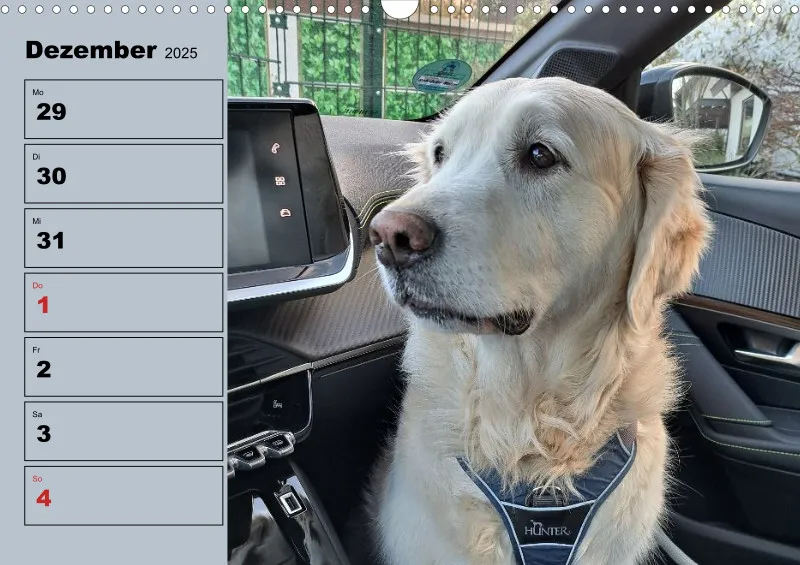 Hunde-Wochenkalender 2026 A3