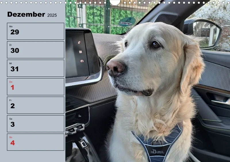 Hunde-Wochenkalender 2026 A3