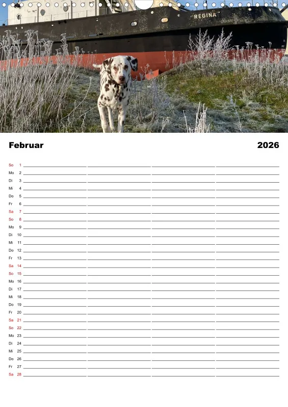 Hundekalender Familienplaner 2026