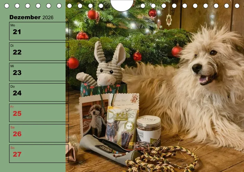 Hunde-Wochenkalender 2026 A5