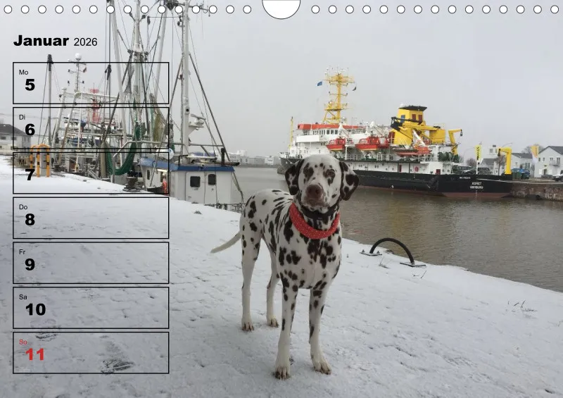 Hunde-Wochenkalender 2026 A4