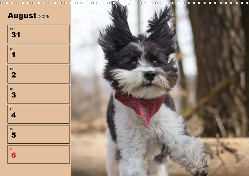 Hunde-Wochenkalender 2026 A3