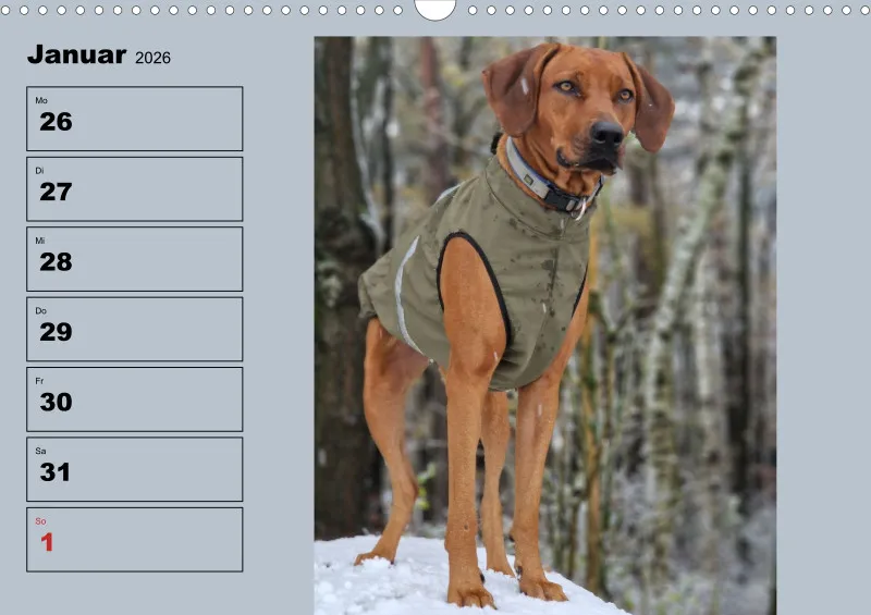 Hunde-Wochenkalender 2026 A3