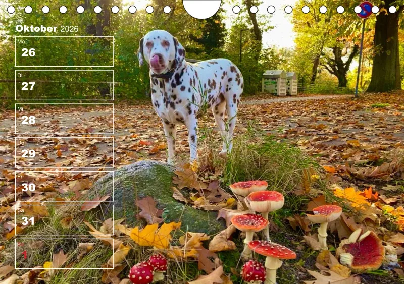 Hunde-Wochenkalender 2026 A5