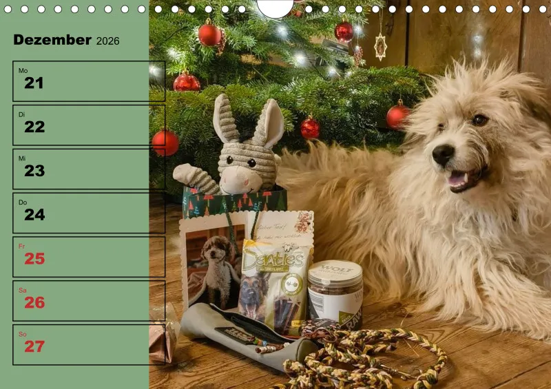 Hunde-Wochenkalender 2026 A4