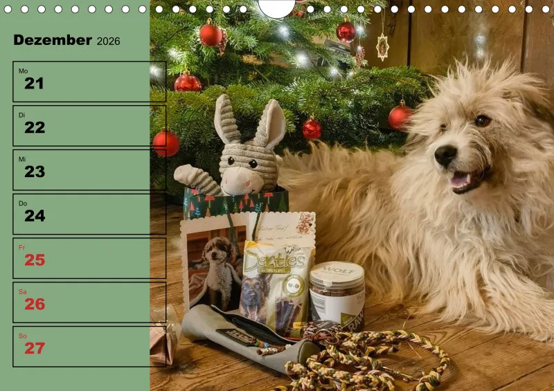 Hunde-Wochenkalender 2026 A4