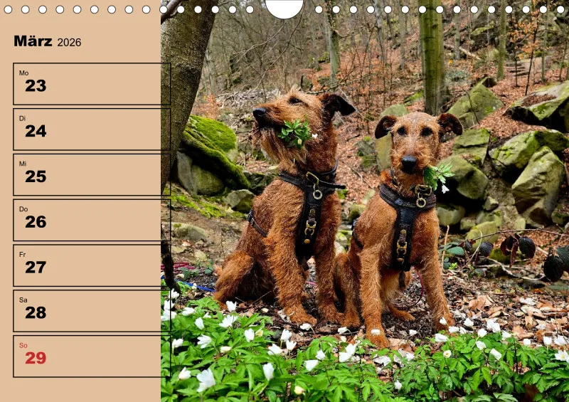 Hunde-Wochenkalender 2026 A4