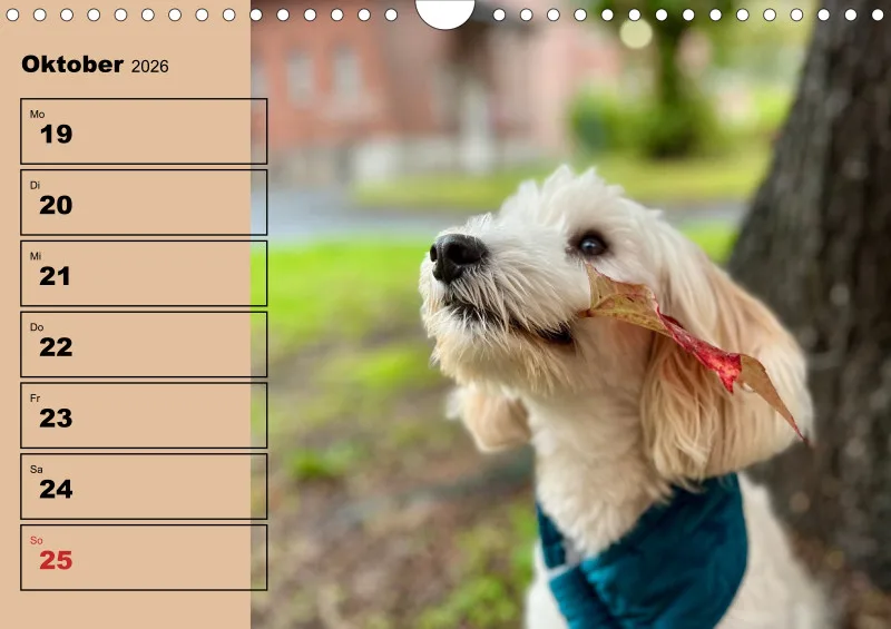 Hunde-Wochenkalender 2026 A4