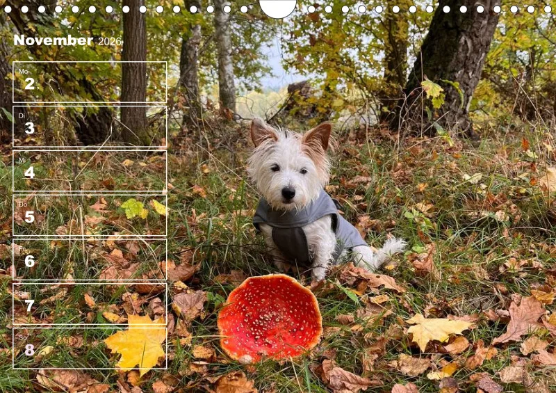 Hunde-Wochenkalender 2026 A4