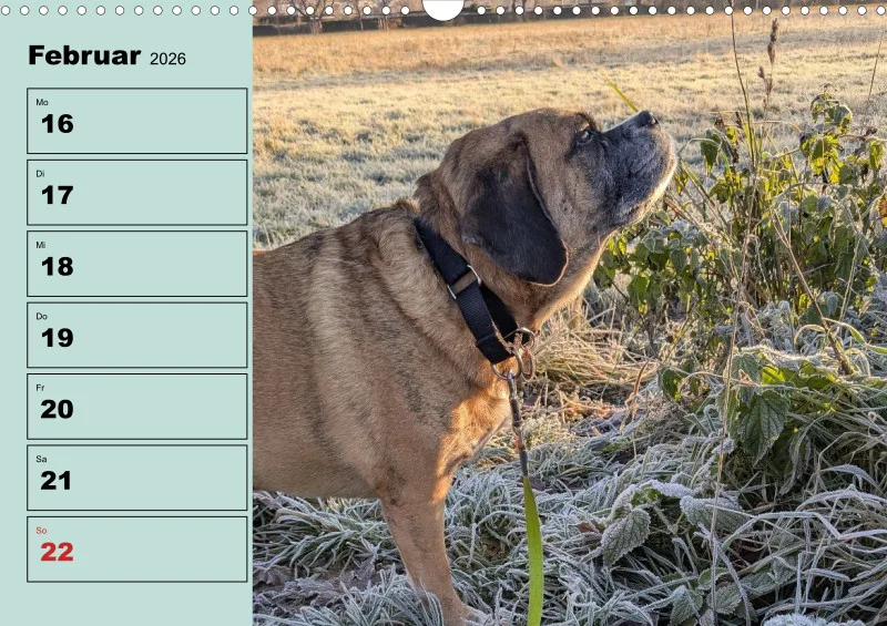 Hunde-Wochenkalender 2026 A3