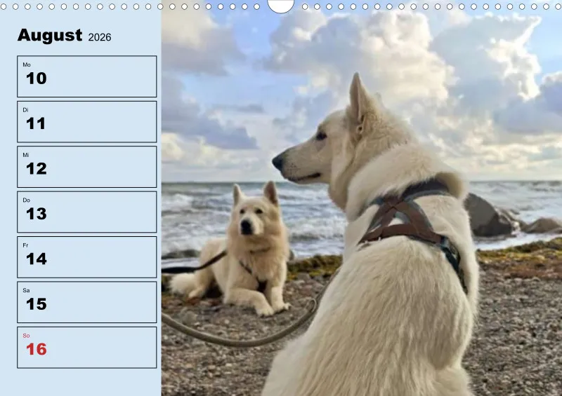 Hunde-Wochenkalender 2026 A3