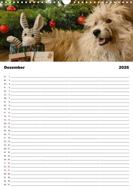 Hundekalender Familienplaner 2026