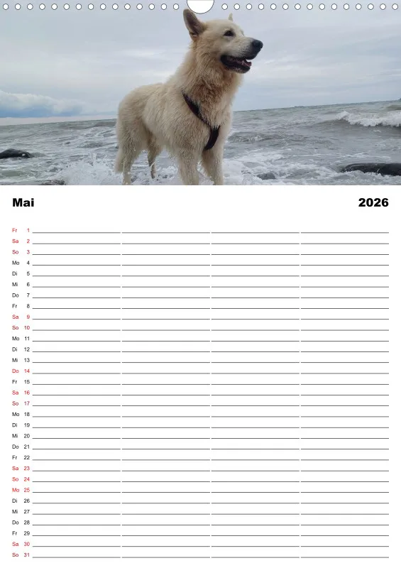 Hundekalender Familienplaner 2026