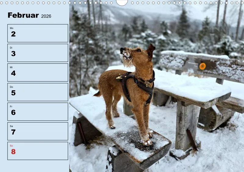 Hunde-Wochenkalender 2026 A3
