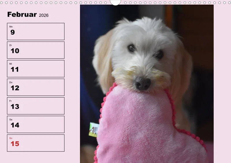 Hunde-Wochenkalender 2026 A3