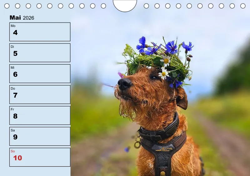 Hunde-Wochenkalender 2026 A5