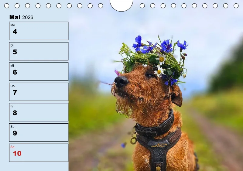 Hunde-Wochenkalender 2026 A5