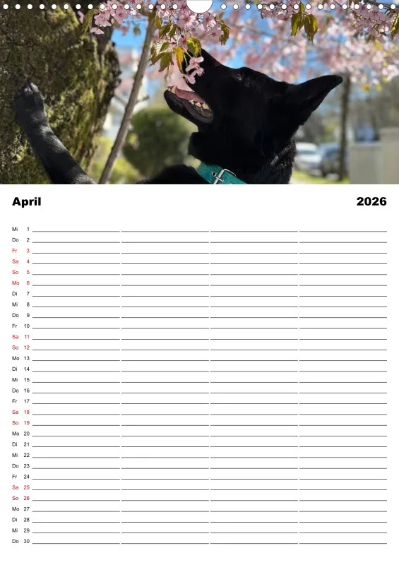 Hundekalender Familienplaner 2026