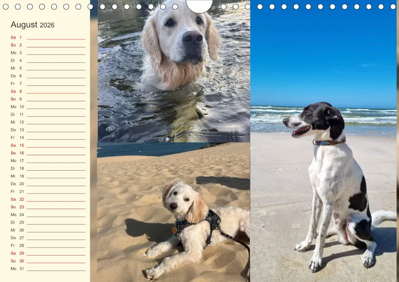 Hundekalender 2026 - DIN A4