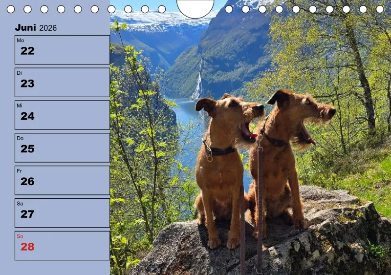 Hunde-Wochenkalender 2026 A5