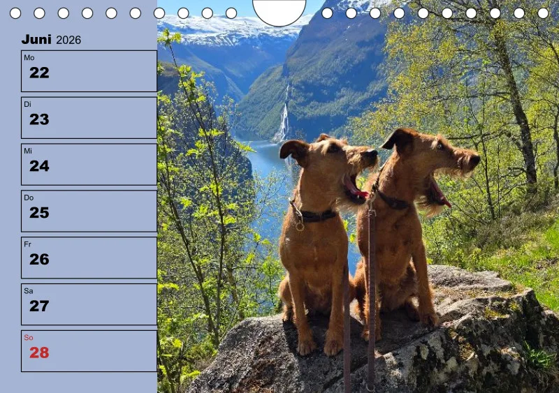 Hunde-Wochenkalender 2026 A5