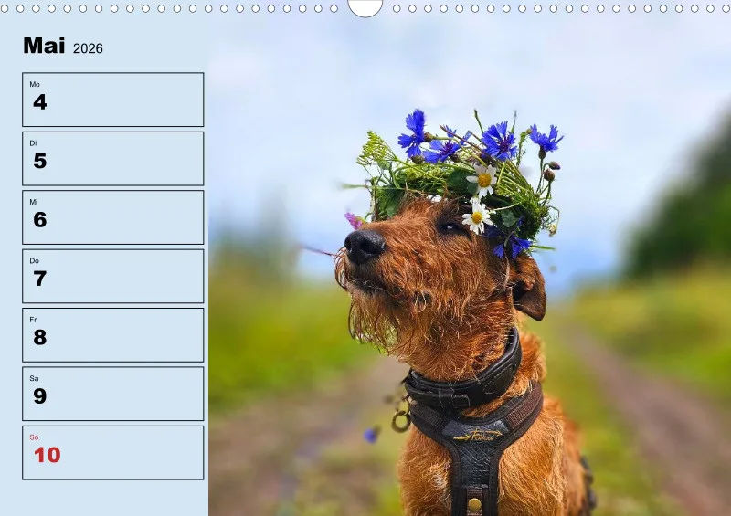 Hunde-Wochenkalender 2026 A3