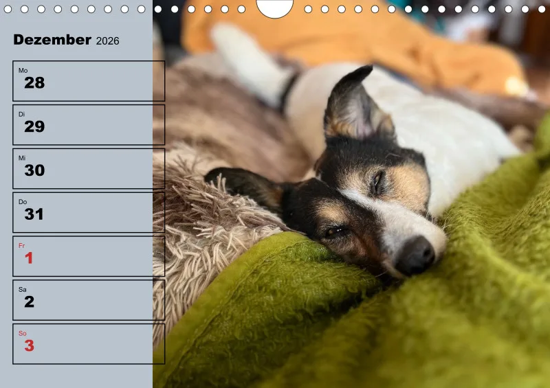 Hunde-Wochenkalender 2026 A4