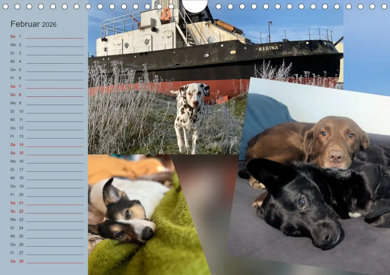 Hundekalender 2026 - DIN A4