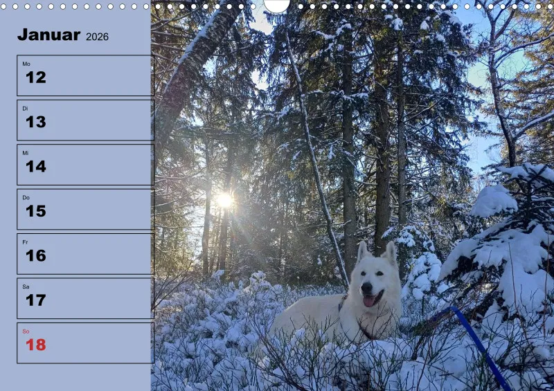 Hunde-Wochenkalender 2026 A3