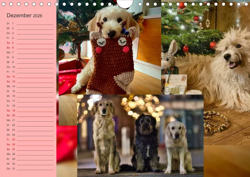 Hundekalender 2026 - DIN A4