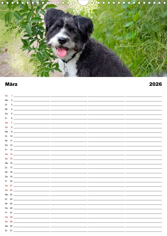 Hundekalender Familienplaner 2026