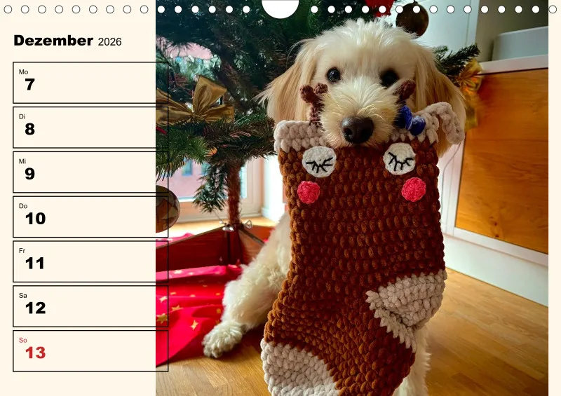 Hunde-Wochenkalender 2026 A4