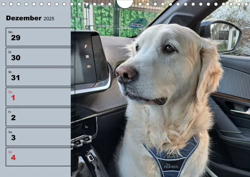 Hunde-Wochenkalender 2026 A4