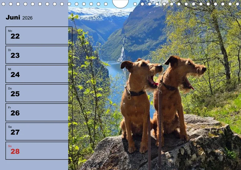 Hunde-Wochenkalender 2026 A4