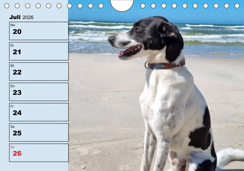 Hunde-Wochenkalender 2026 A5