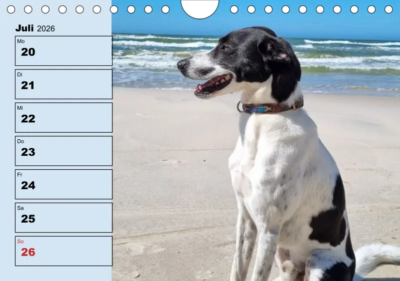 Hunde-Wochenkalender 2026 A5
