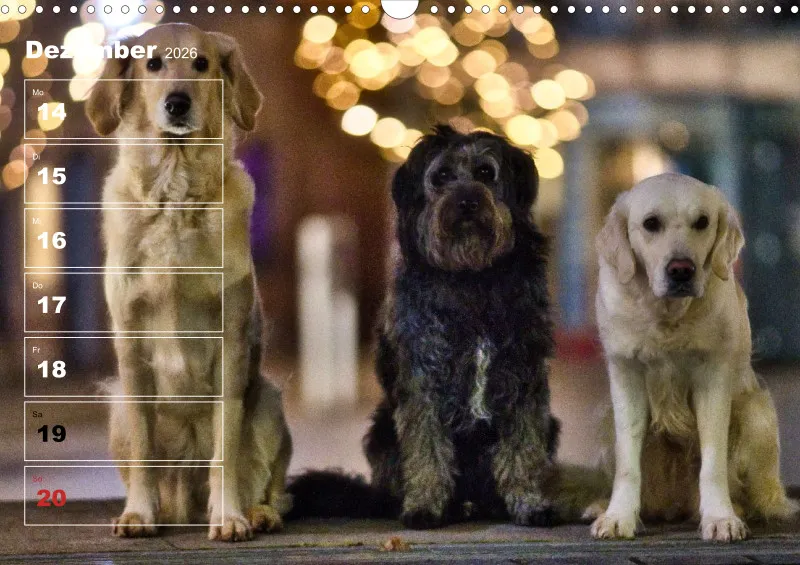 Hunde-Wochenkalender 2026 A3