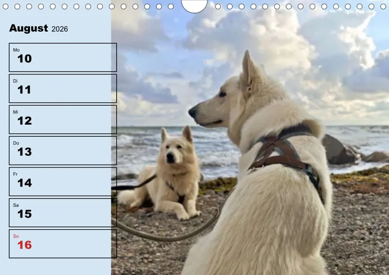 Hunde-Wochenkalender 2026 A4