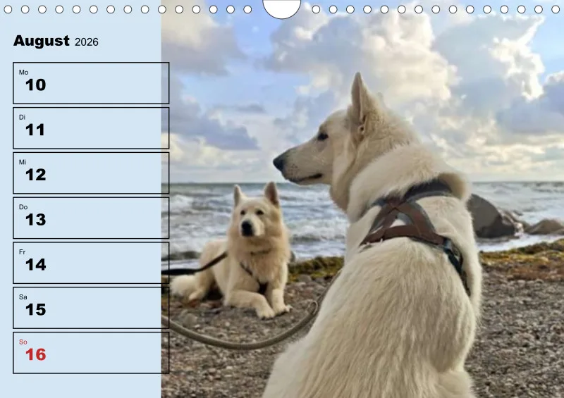 Hunde-Wochenkalender 2026 A4